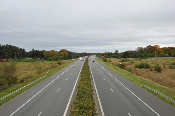 Ferrari vs Lamborghini : Bataille de voitures rapides